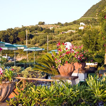 Hotel Poggio Del Sole Forio  Restoran foto