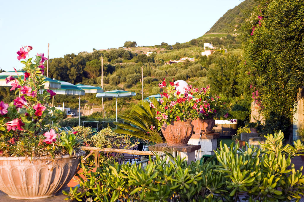Hotel Poggio Del Sole Forio  Restoran foto